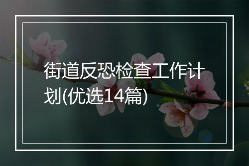 街道反恐检查工作计划(优选14篇)