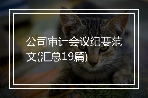 公司审计会议纪要范文(汇总19篇)