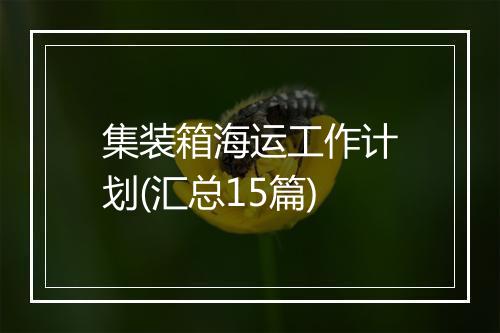 集装箱海运工作计划(汇总15篇)