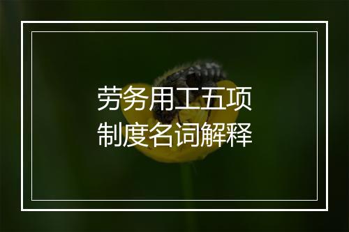 劳务用工五项制度名词解释