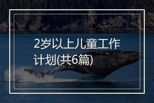 2岁以上儿童工作计划(共6篇)