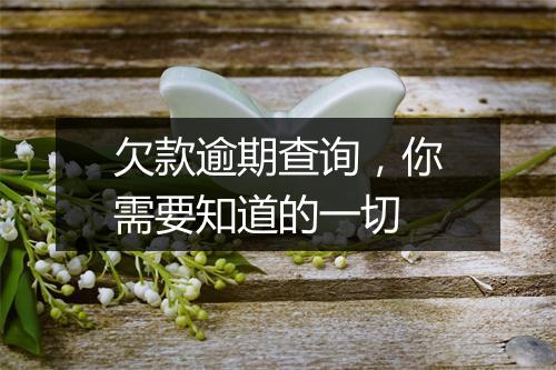 欠款逾期查询，你需要知道的一切