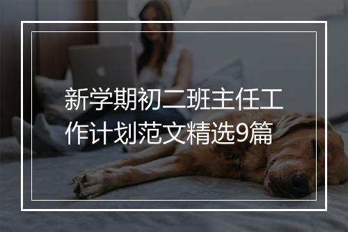 新学期初二班主任工作计划范文精选9篇