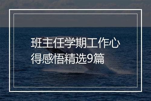 班主任学期工作心得感悟精选9篇