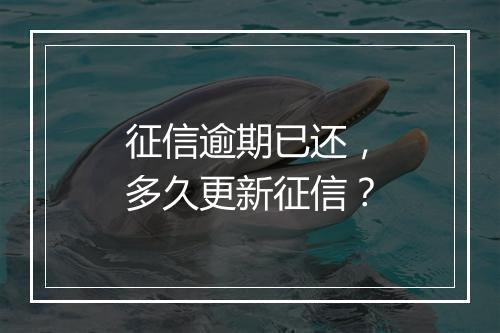 征信逾期已还，多久更新征信？