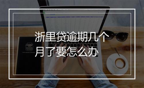 浙里贷逾期几个月了要怎么办