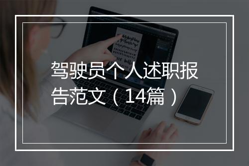 驾驶员个人述职报告范文（14篇）