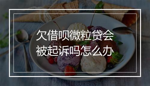 欠借呗微粒贷会被起诉吗怎么办