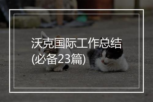 沃克国际工作总结(必备23篇)