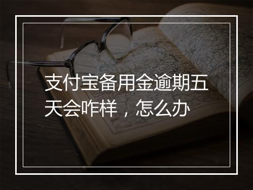 支付宝备用金逾期五天会咋样，怎么办