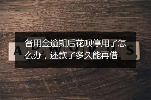 备用金逾期后花呗停用了怎么办，还款了多久能再借