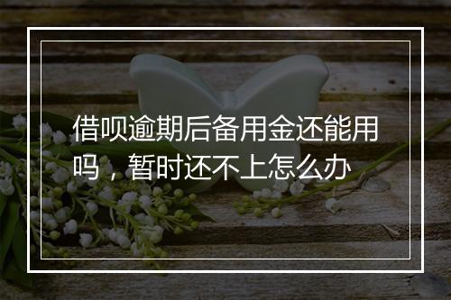借呗逾期后备用金还能用吗，暂时还不上怎么办
