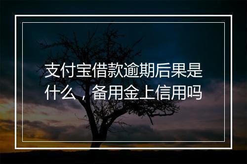 支付宝借款逾期后果是什么，备用金上信用吗
