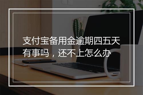 支付宝备用金逾期四五天有事吗，还不上怎么办