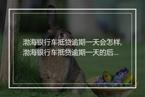 渤海银行车抵贷逾期一天会怎样,渤海银行车抵贷逾期一天的后果