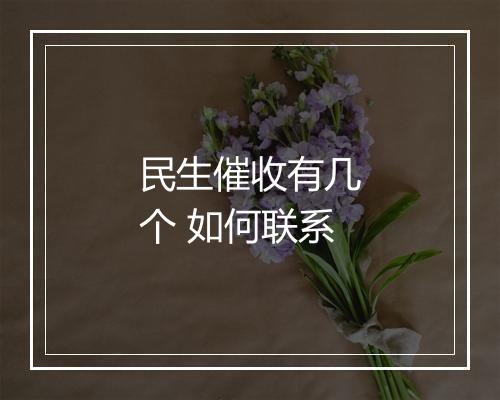 民生催收有几个 如何联系