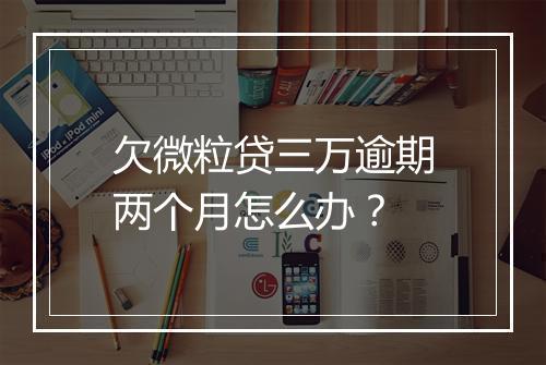 欠微粒贷三万逾期两个月怎么办？