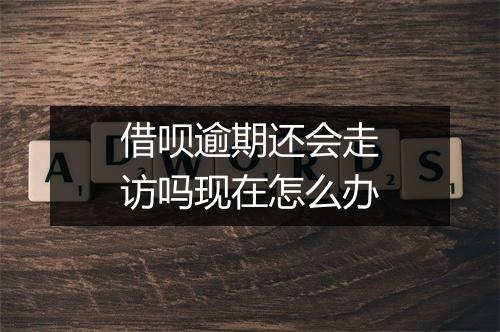 借呗逾期还会走访吗现在怎么办