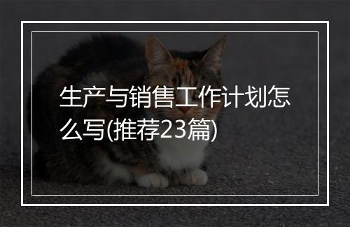 生产与销售工作计划怎么写(推荐23篇)