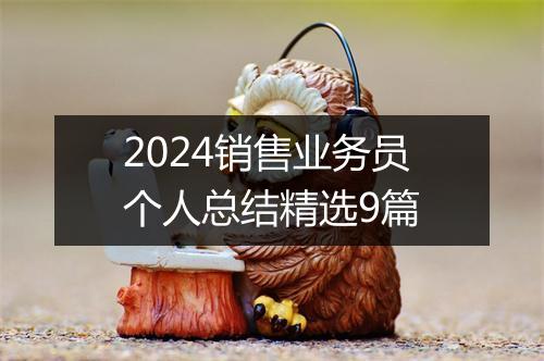 2024销售业务员个人总结精选9篇