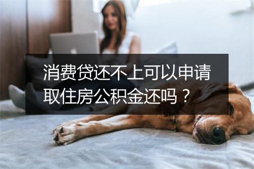 消费贷还不上可以申请取住房公积金还吗？
