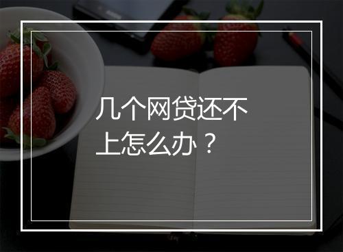 几个网贷还不上怎么办？