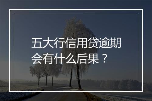 五大行信用贷逾期会有什么后果？