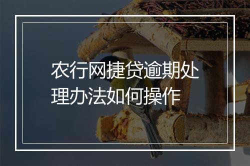 农行网捷贷逾期处理办法如何操作