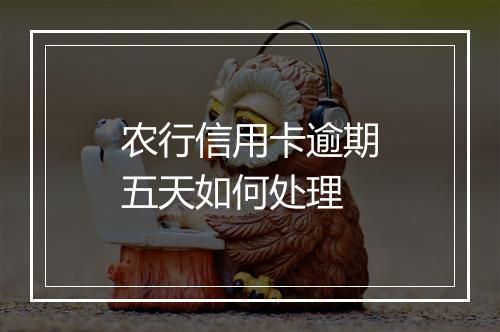 农行信用卡逾期五天如何处理