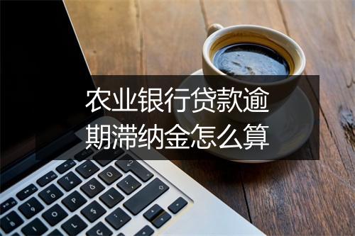 农业银行贷款逾期滞纳金怎么算