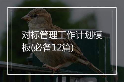 对标管理工作计划模板(必备12篇)