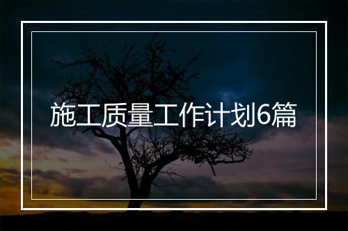 施工质量工作计划6篇