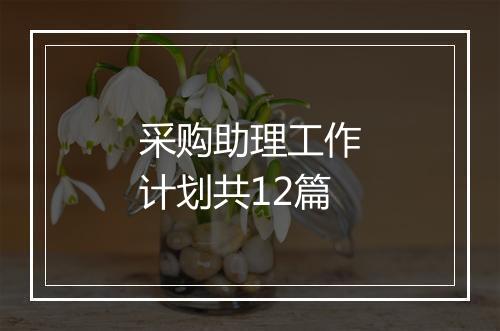采购助理工作计划共12篇