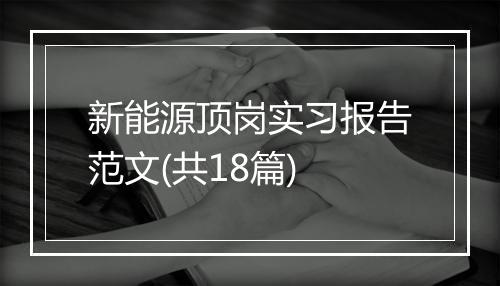 新能源顶岗实习报告范文(共18篇)