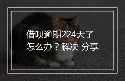 借呗逾期224天了怎么办？解决 分享
