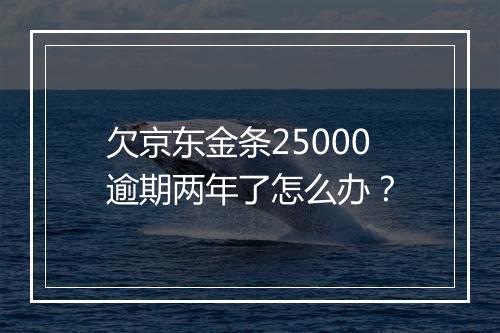 欠京东金条25000逾期两年了怎么办？