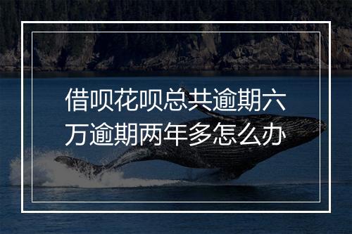 借呗花呗总共逾期六万逾期两年多怎么办