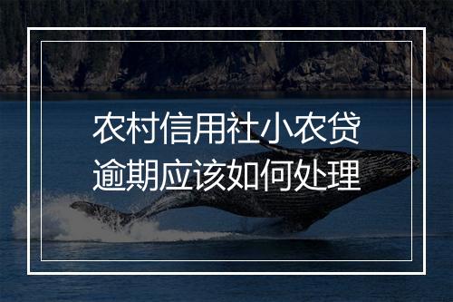 农村信用社小农贷逾期应该如何处理