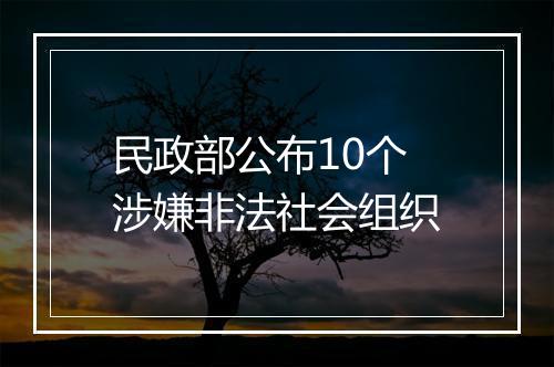 民政部公布10个涉嫌非法社会组织