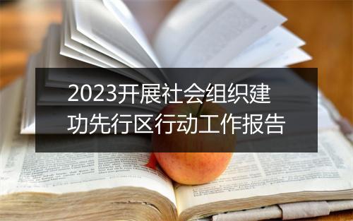 2023开展社会组织建功先行区行动工作报告