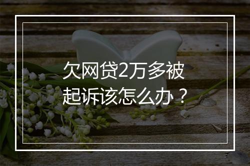 欠网贷2万多被起诉该怎么办？