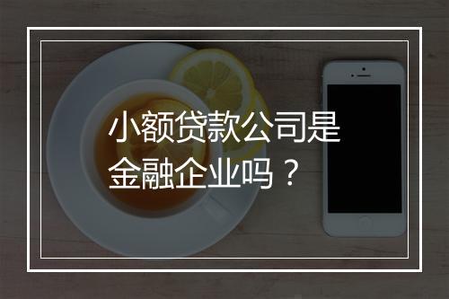 小额贷款公司是金融企业吗？