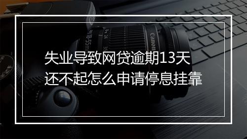 失业导致网贷逾期13天还不起怎么申请停息挂靠