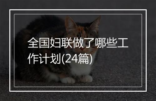 全国妇联做了哪些工作计划(24篇)
