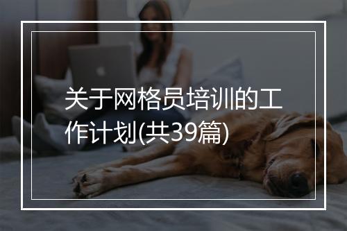 关于网格员培训的工作计划(共39篇)