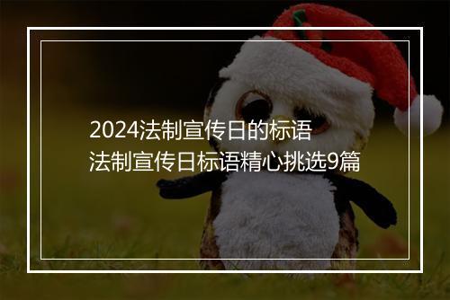2024法制宣传日的标语 法制宣传日标语精心挑选9篇