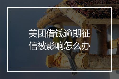 美团借钱逾期征信被影响怎么办