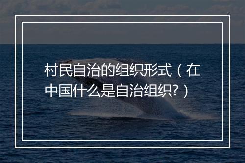 村民自治的组织形式（在中国什么是自治组织?）