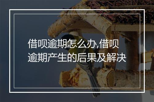 借呗逾期怎么办,借呗逾期产生的后果及解决