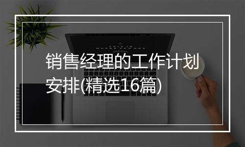 销售经理的工作计划安排(精选16篇)